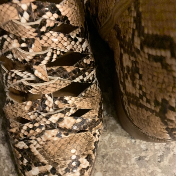 Snake print bootie - Picture 6 of 9